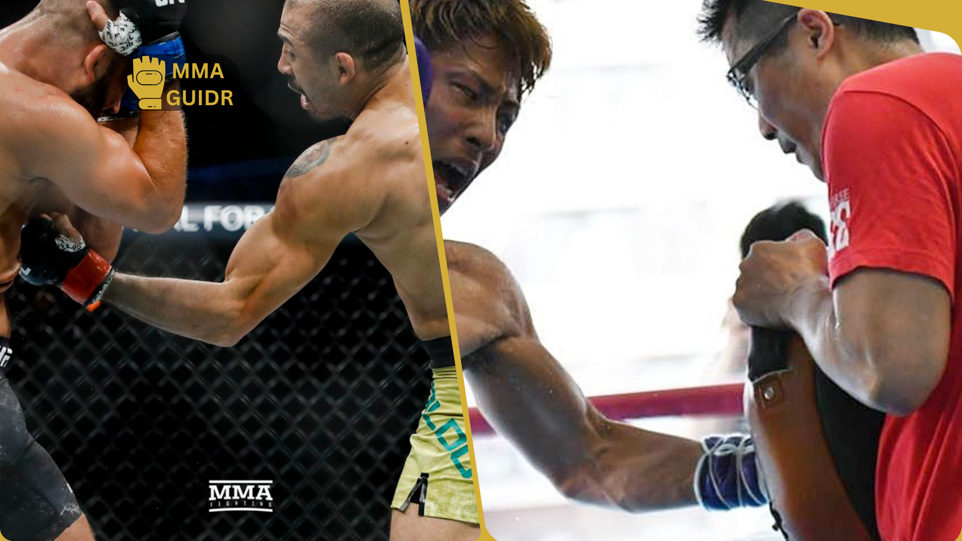 Why do fighters crumble from a liver shot? Discover the anatomy, science, and legendary knockouts behind MMA's most agonizing finisher. Read more now!